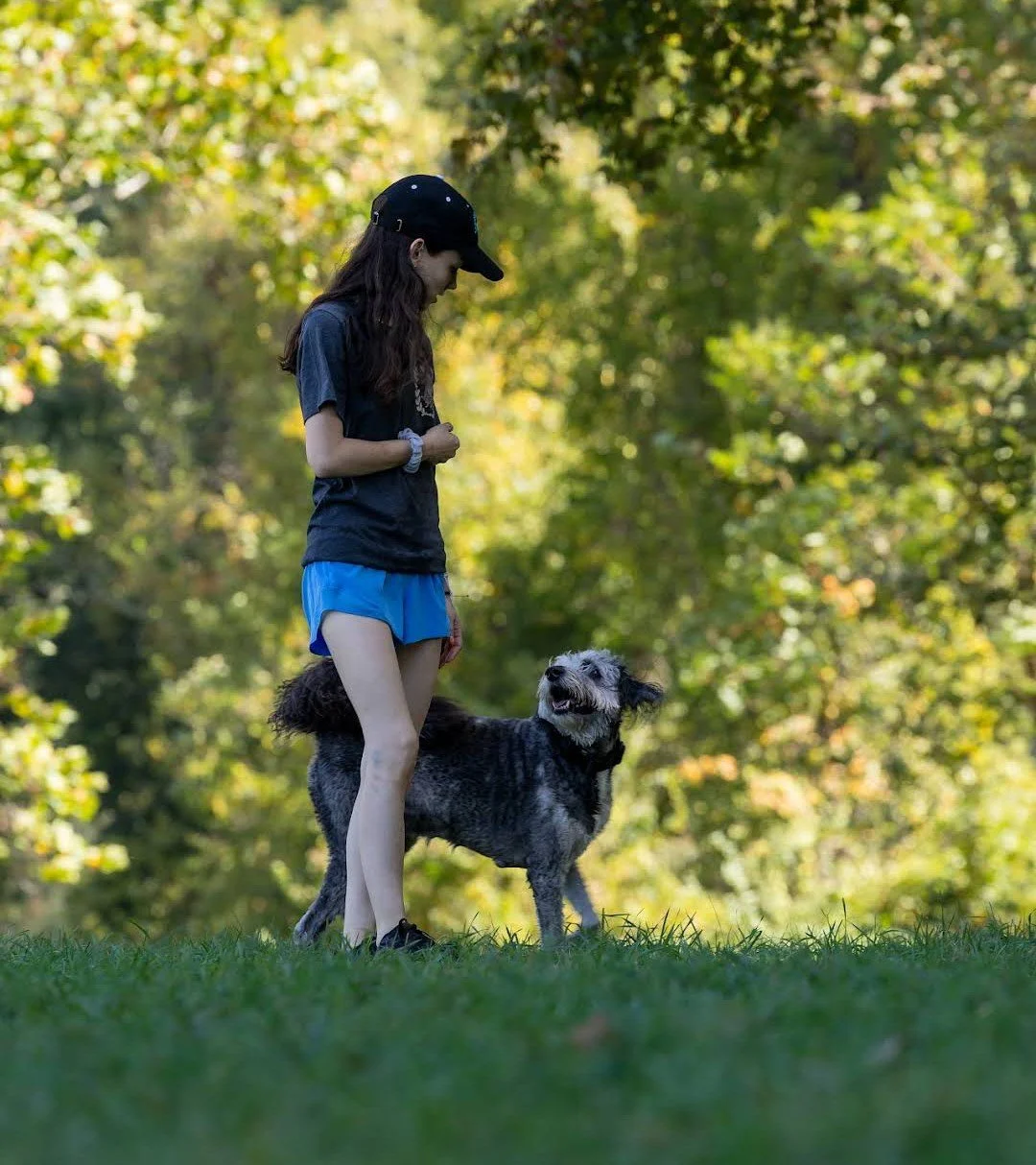 K9 Strategies Home Photo 3