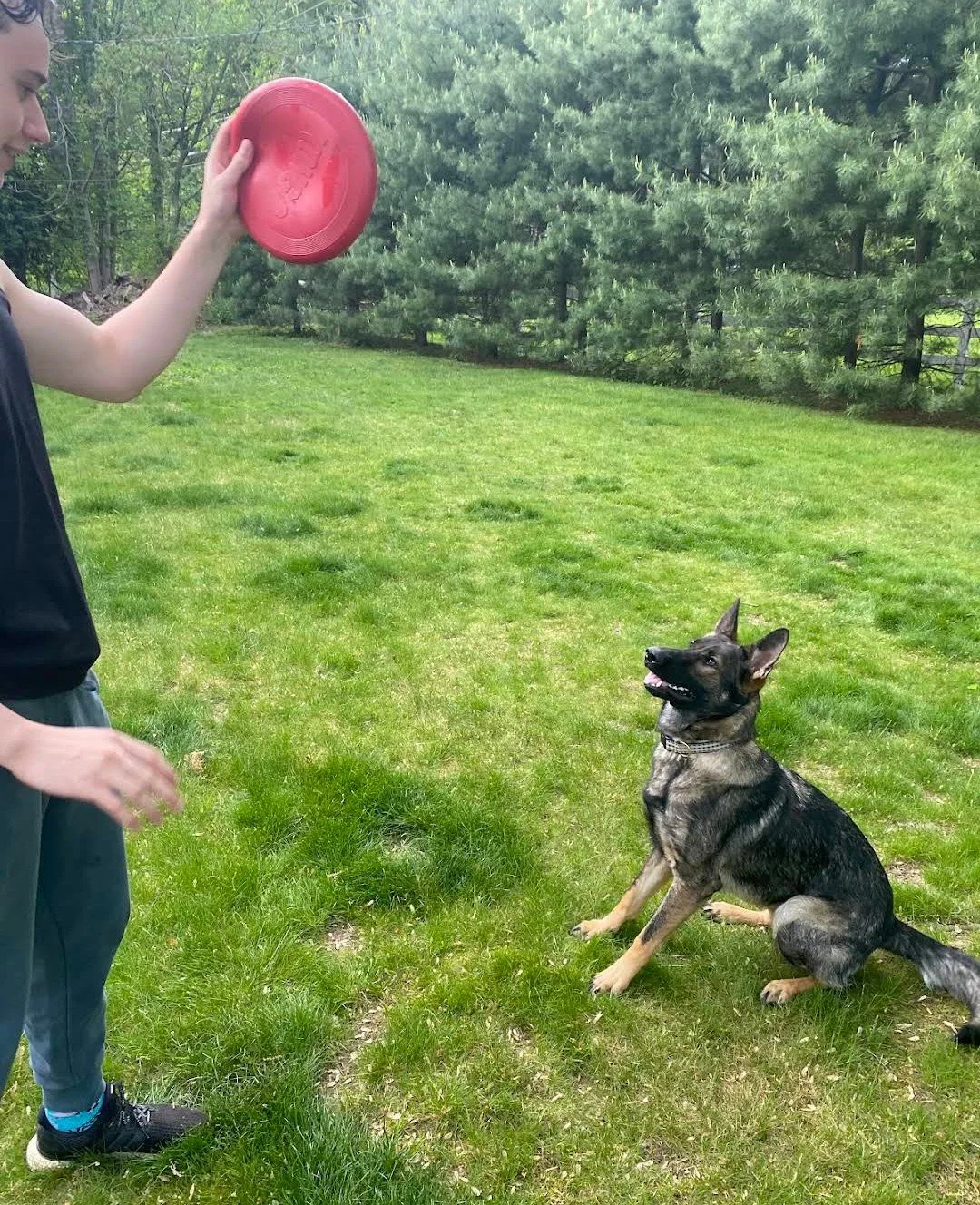 K9 Strategies Home Photo 10