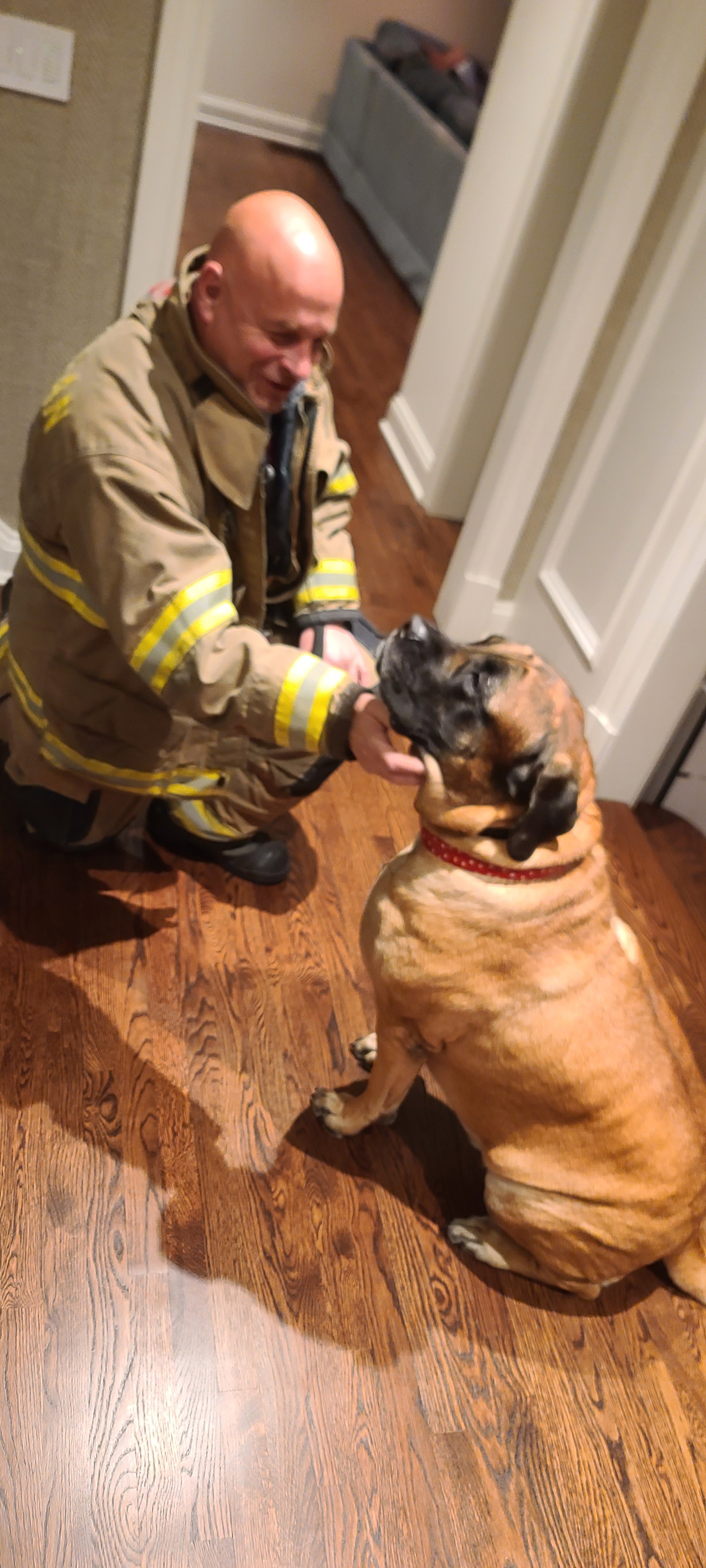 K9 Strategies Custom Services Photo 2