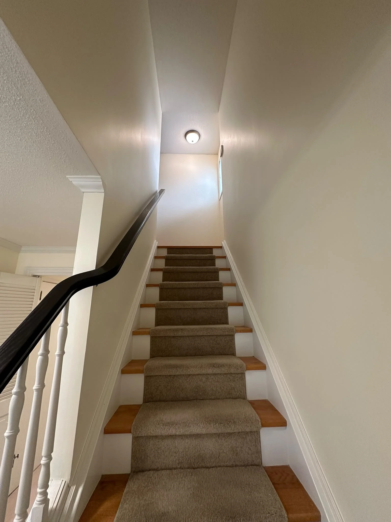 After: the same staircase with light painted walls, dark handrail and carpet runner