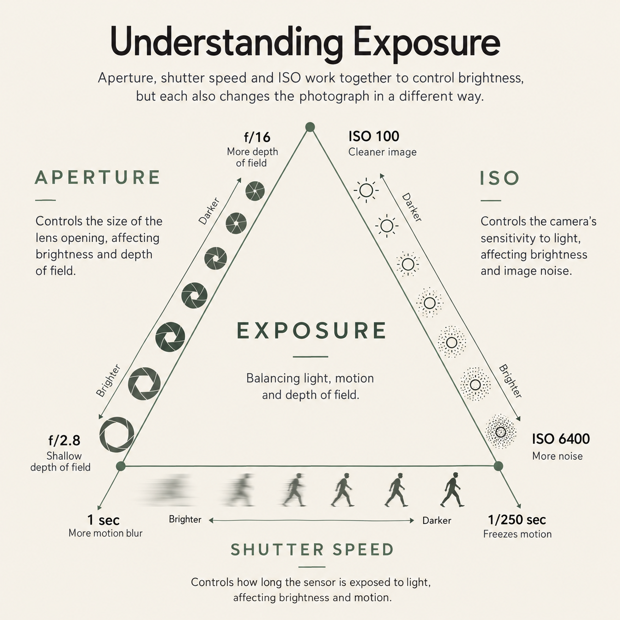 Exposure triangle showing how aperture, shutter speed and ISO affect brightness, depth of field, motion and image noise