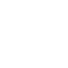 ig icon