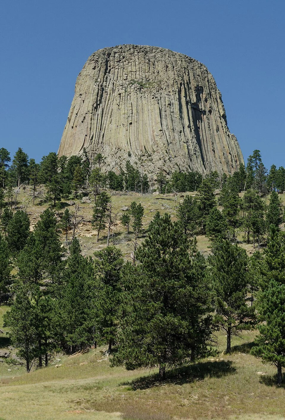 Devils Tower rising above the surrounding Wyoming landscape