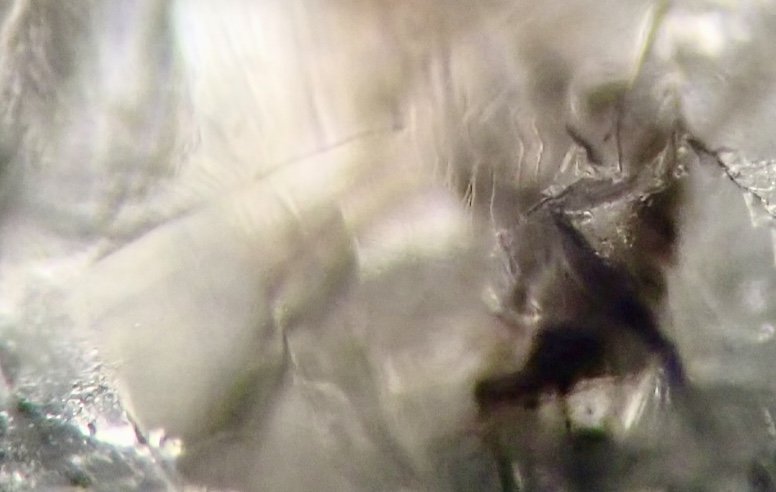 Microscopic source image for Karma