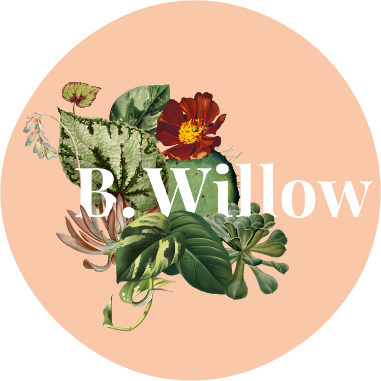 B.Willow logo