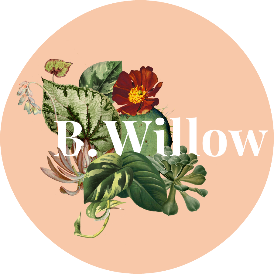 B. Willow logo