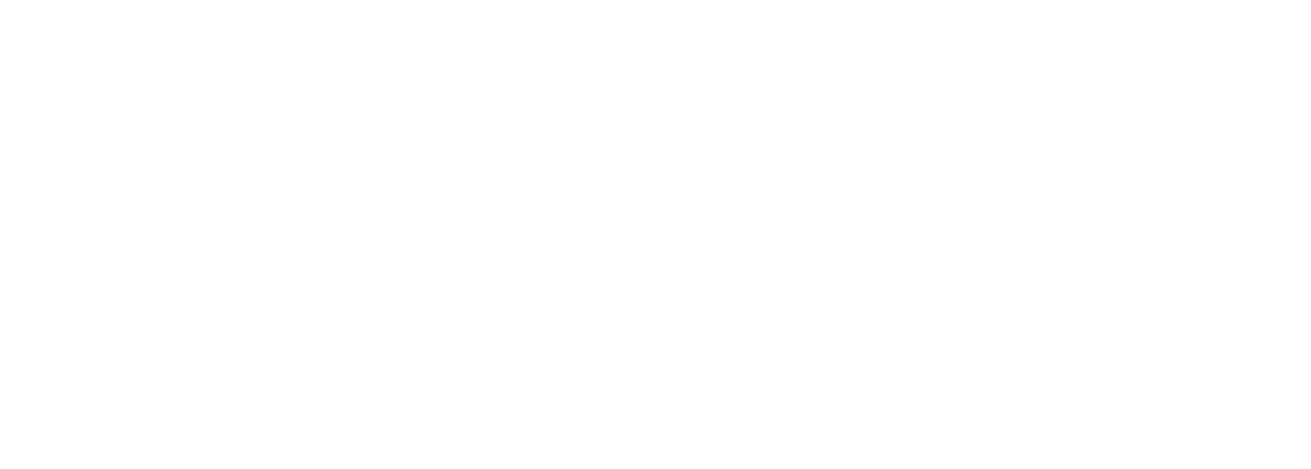 SPARC Executive Development and Consulting