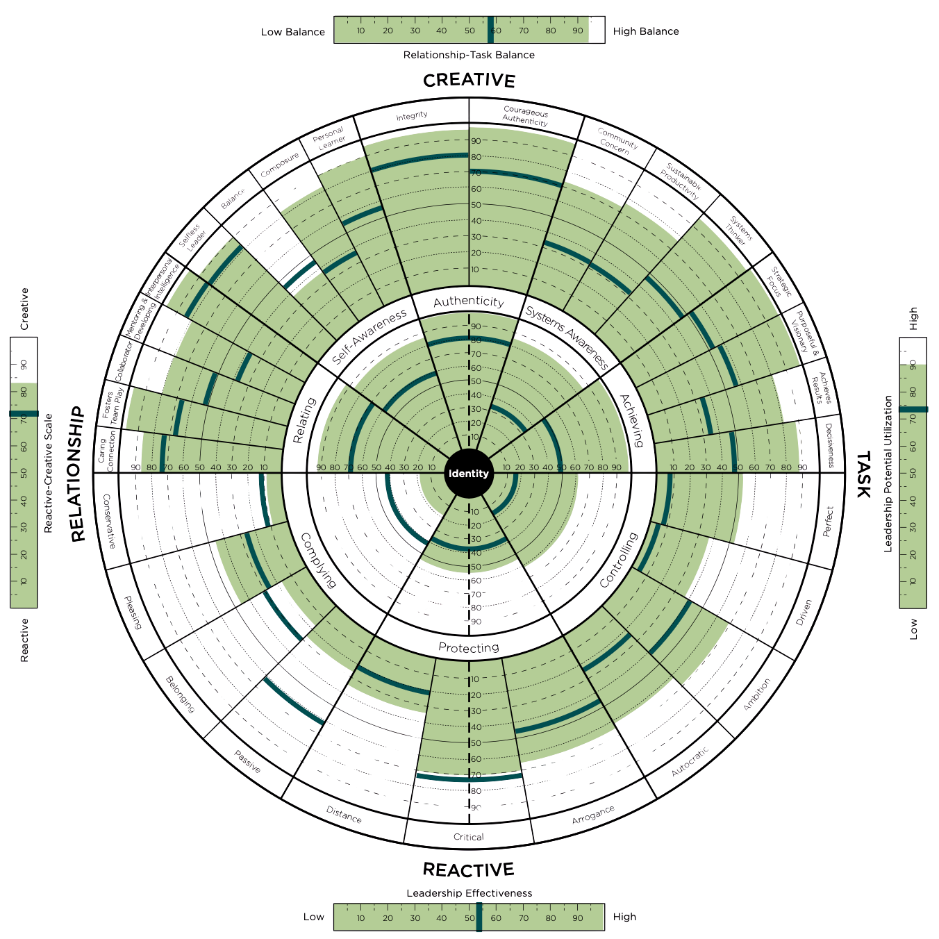 Leadership Circle Profile