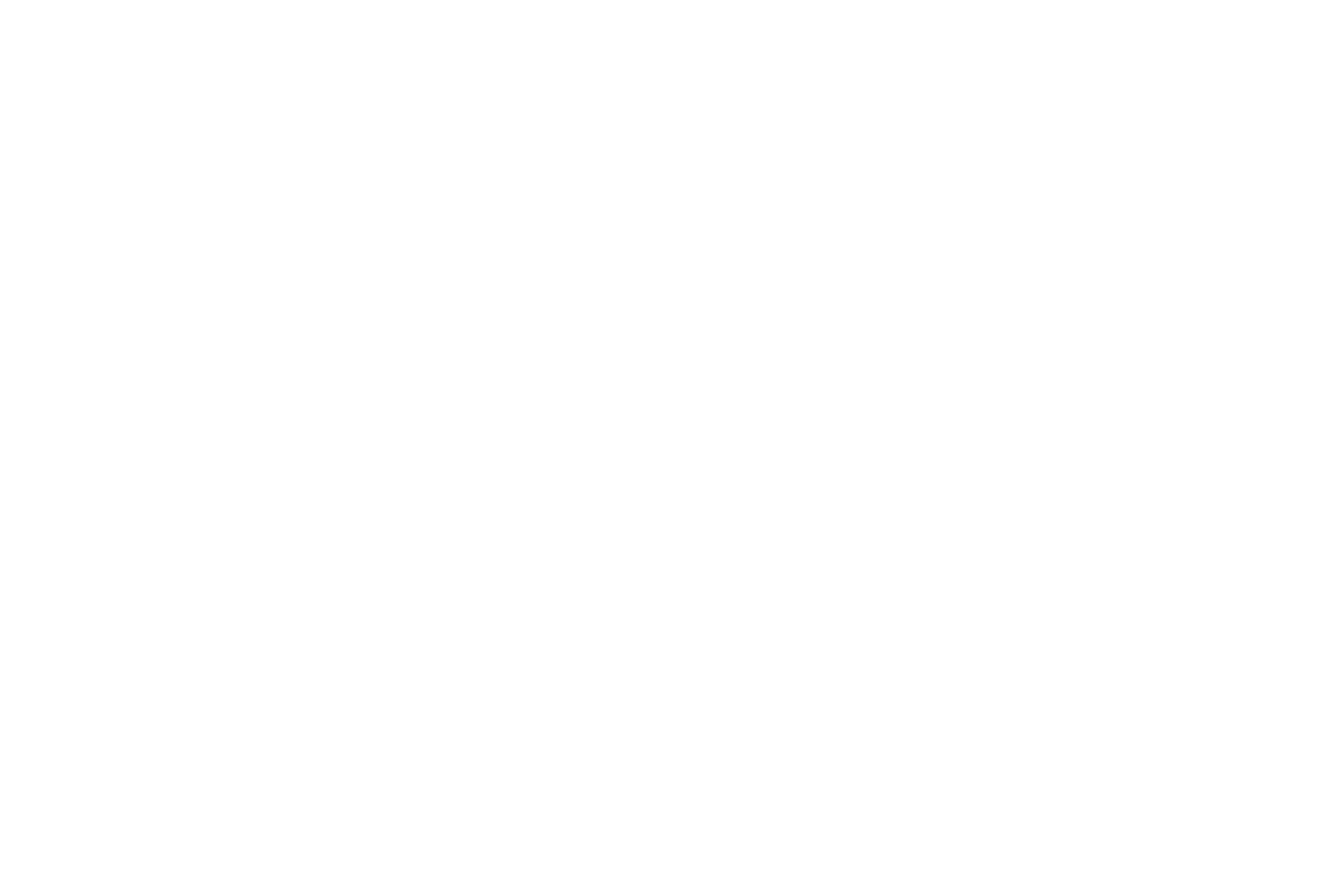Academy of Executive Coaching — United States