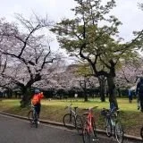 Shibuya Fietstour