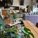 Globe Mountain Coffee