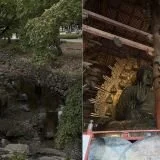 Nara herten aaien