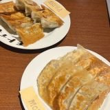Motoi Gyoza