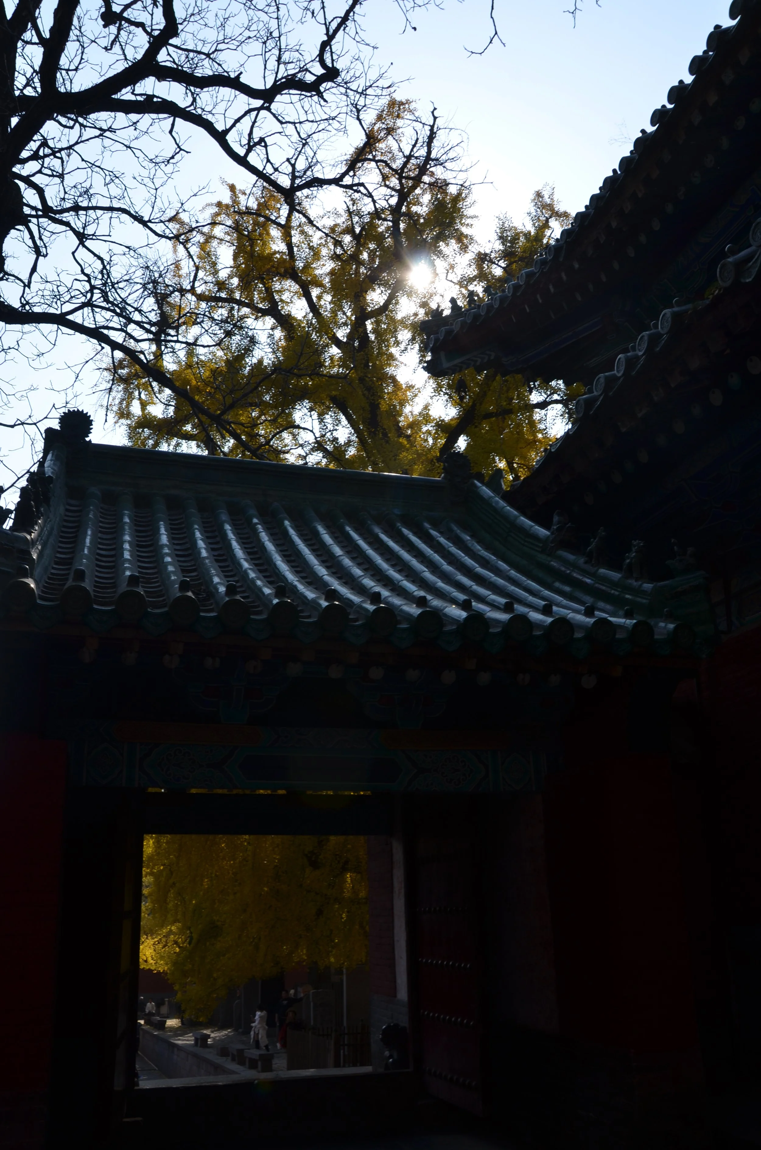 The Shaolin Temple in Zhengzhou, China