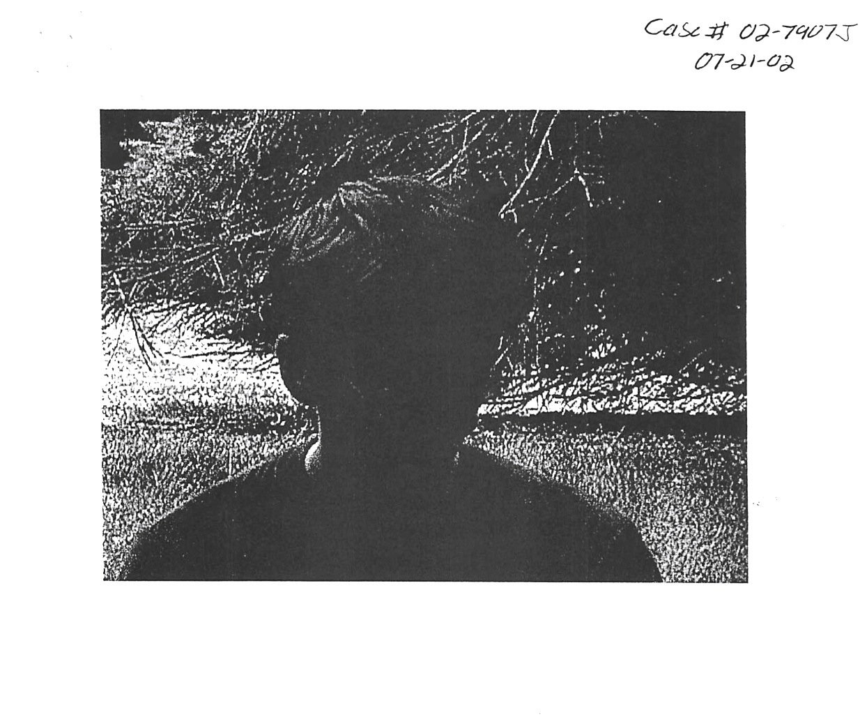 Will Potter Arrest Photo