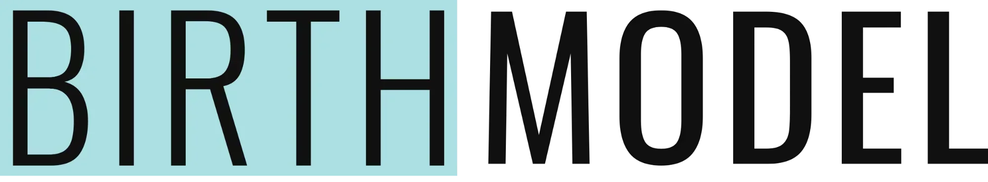 Birth Model - Modernizing Obstetrics with AI Precision