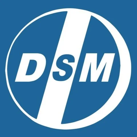 DSM Solutions Inc. logo