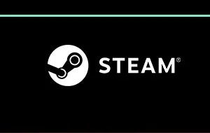 Steam