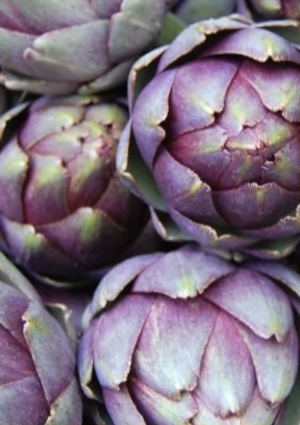 Artichoke ingredient photography