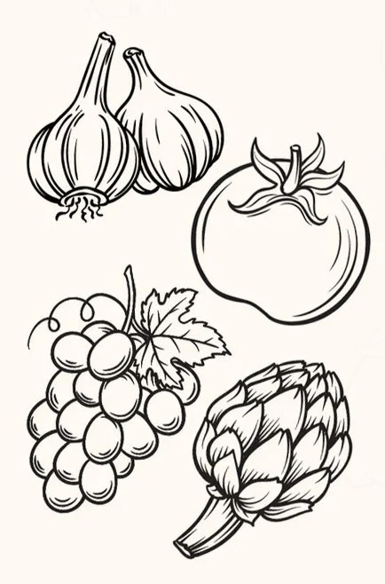 Organic botanical illustration