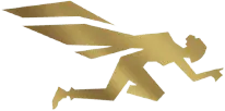 Progress Icon