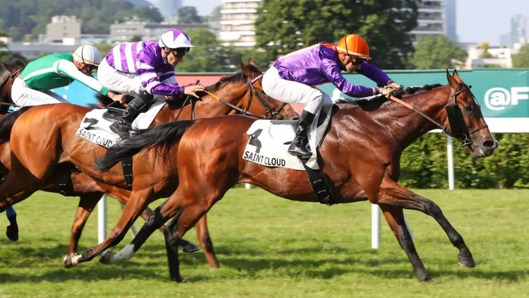 Images Gratuites : les chevaux, des sports, courses, jockey, hippodrome
