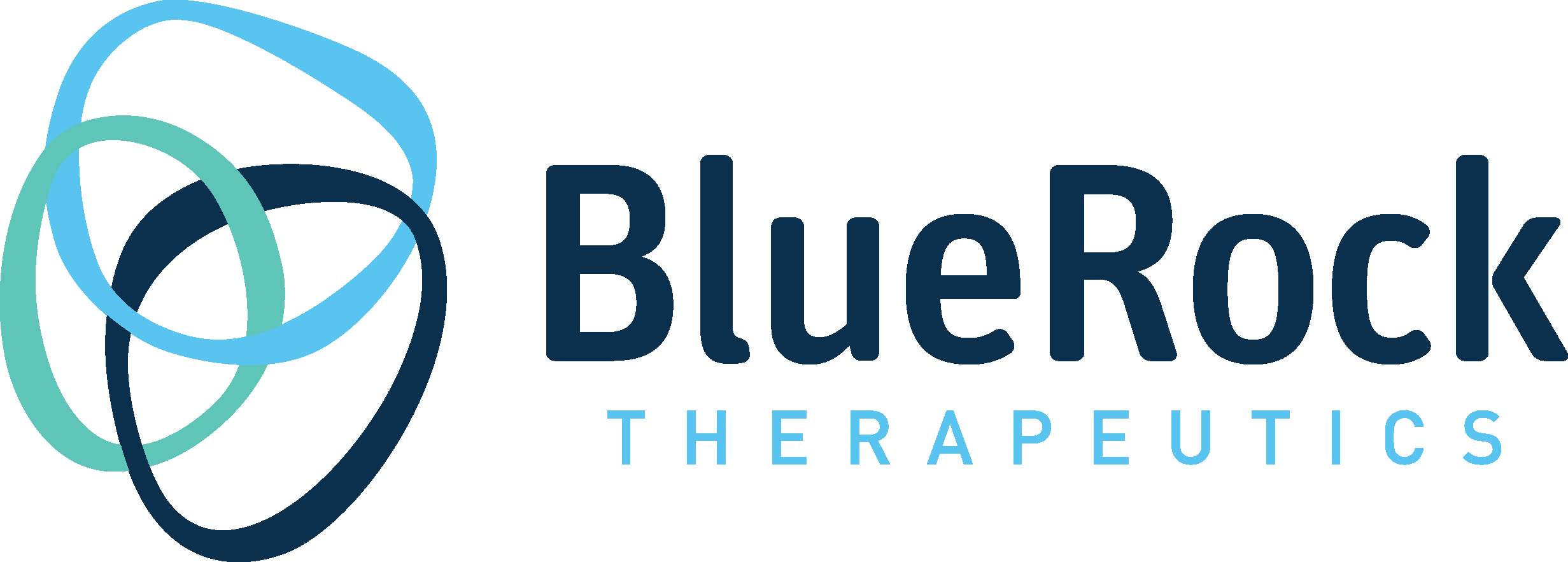 BlueRock Therapeutics