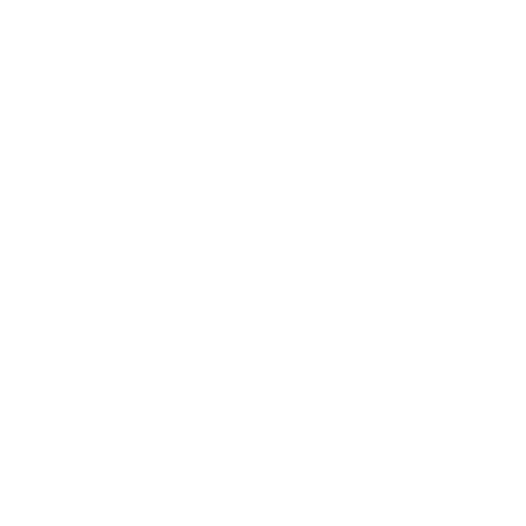 Reformer icon