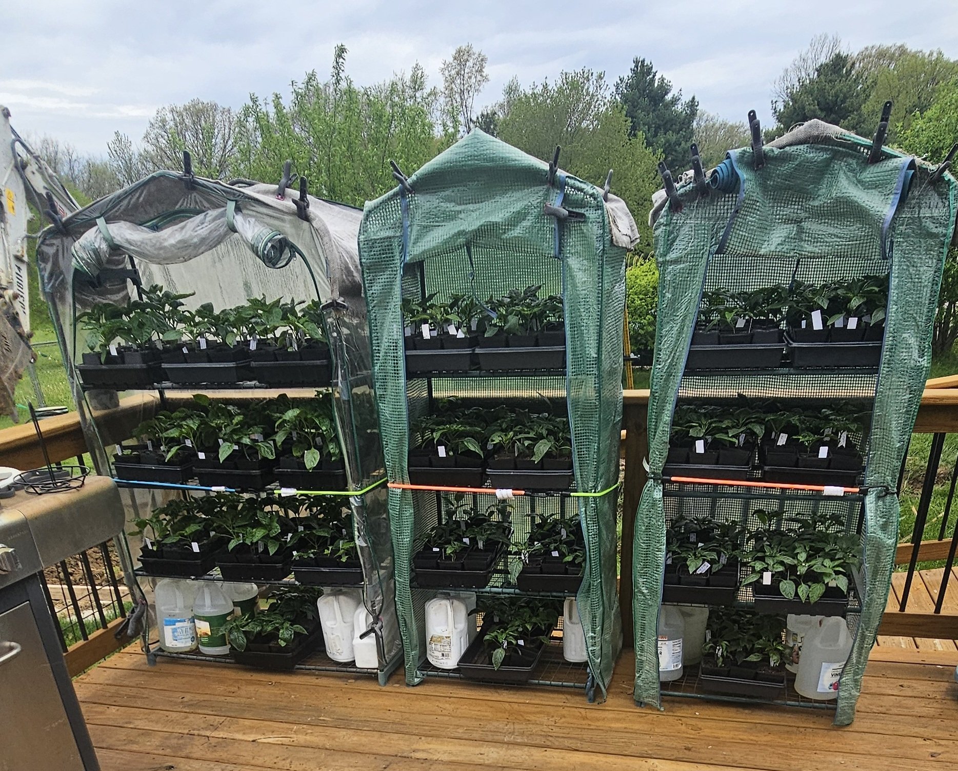Dirt to Dish seedlings and supplies prepared for distribution