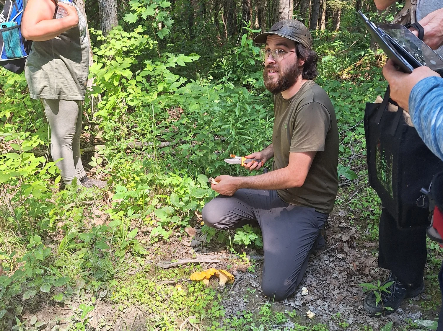Agronome expliquant l'identification d'une chanterelle à un groupe en forêt
