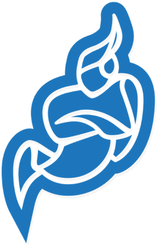 Jitsi Meet logo