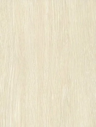 Creamy Birch surface sample