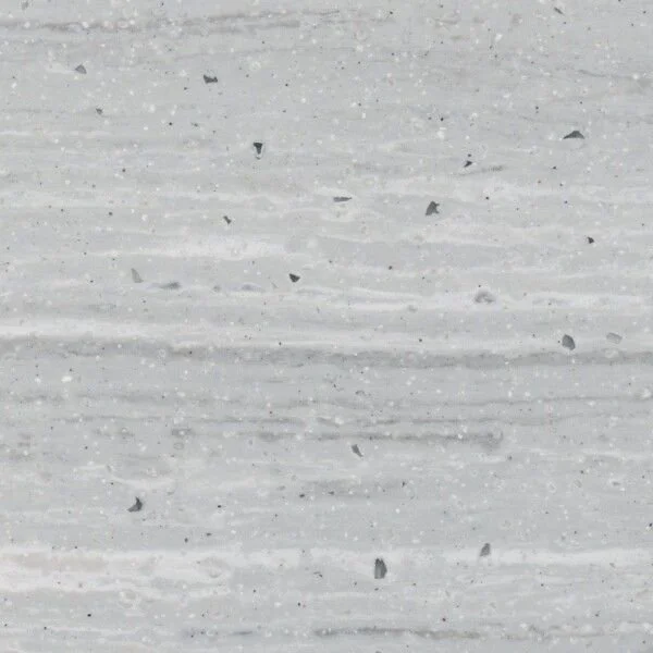 Fossil surface sample