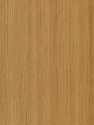 White Oak surface sample