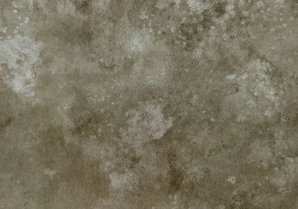 Burnish Brass sample