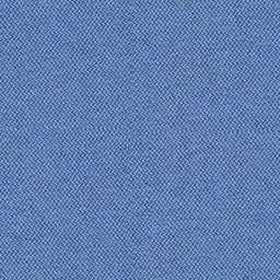 Chapter fabric sample