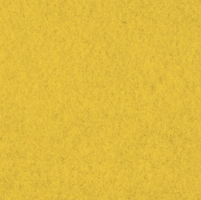 Acoustic PET – Sunflower sample