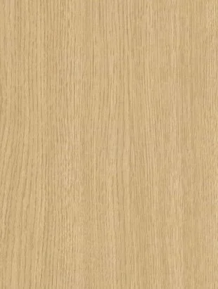 Sun Bleached surface sample