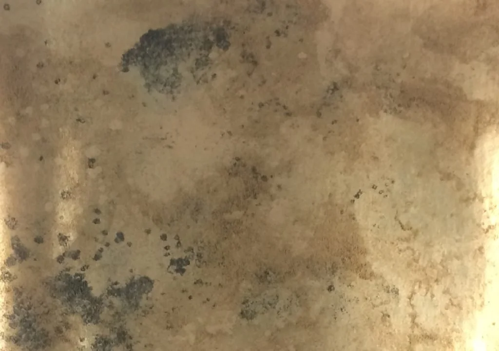 Burnish Gold sample