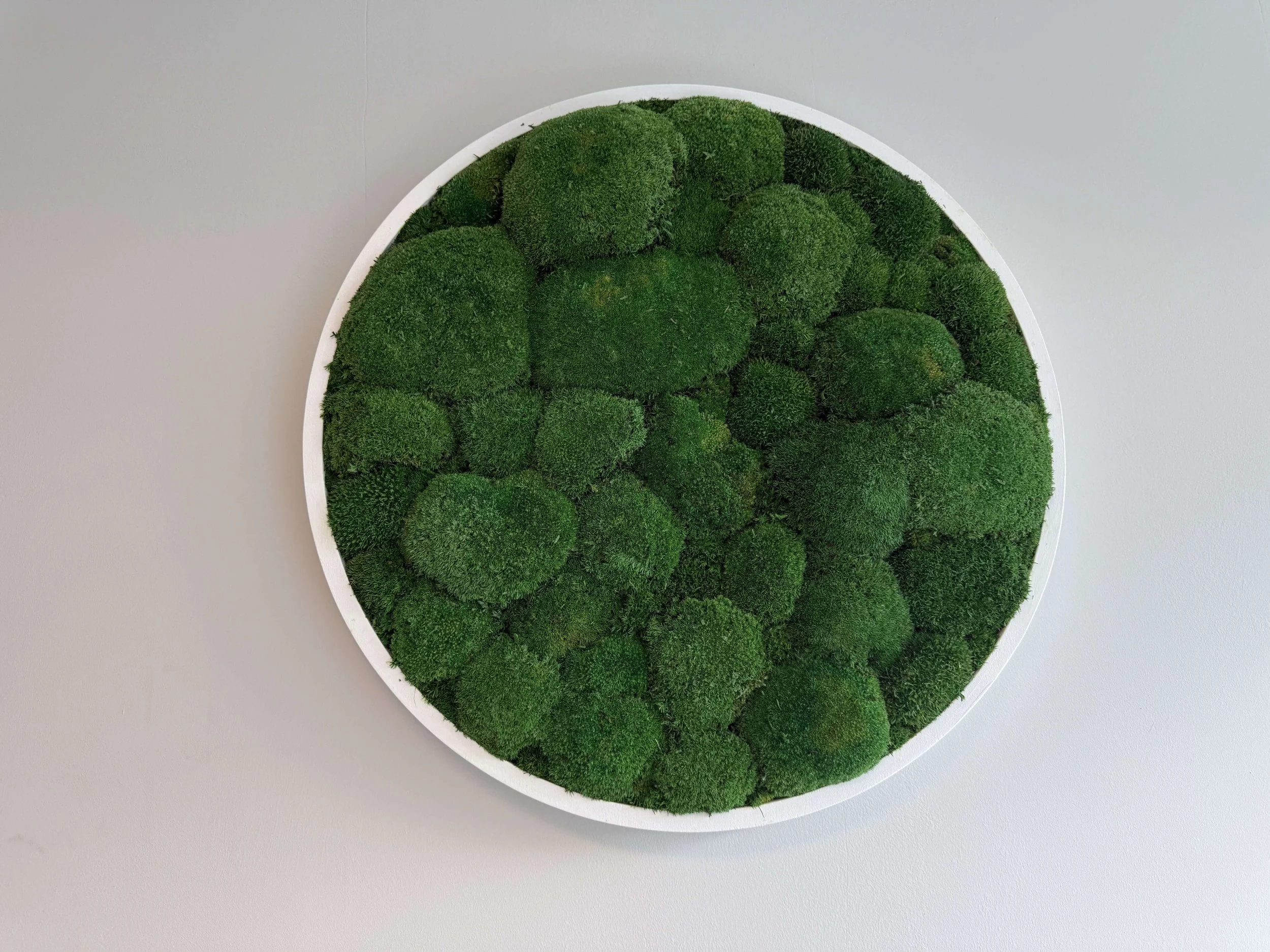 Amoria Bond office feature wall area