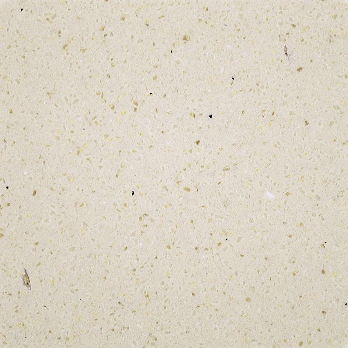 Sandalwood surface sample