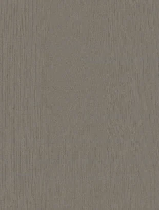 Foggy Forest surface sample