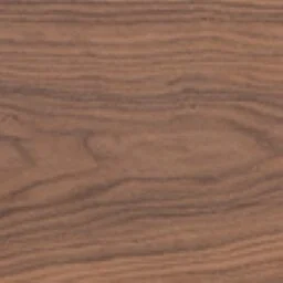 American Black Walnut veneer sample
