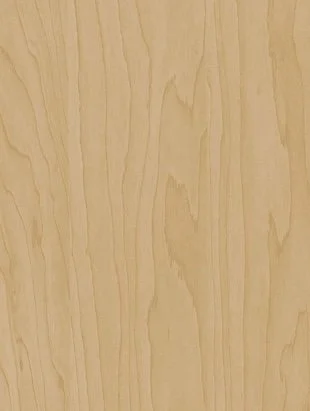 Gold Beige Birch surface sample