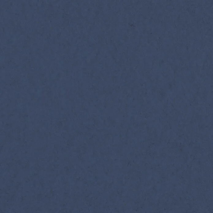 Acoustic PET – Navy Blue sample