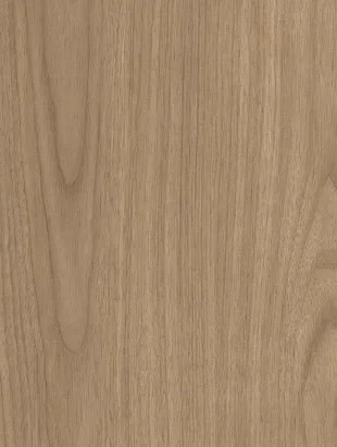 Soft Grey Gloss surface sample