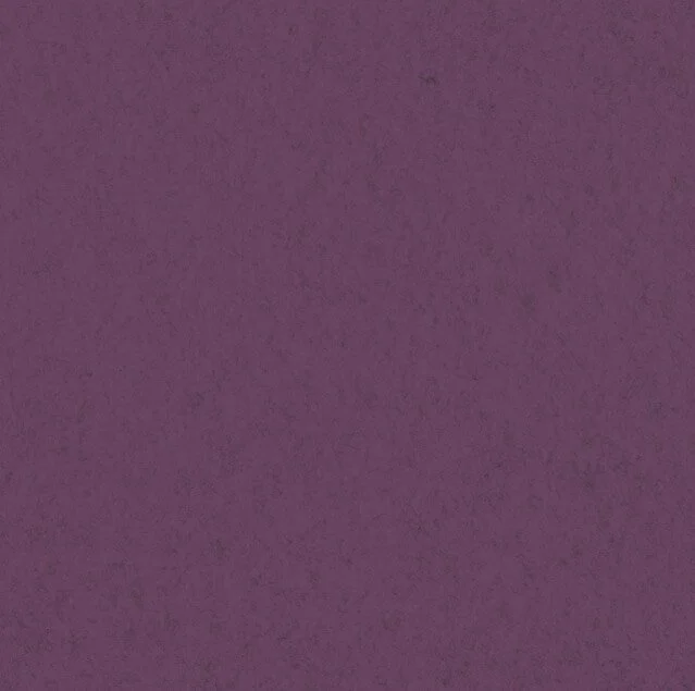 Acoustic PET – Eggplant sample