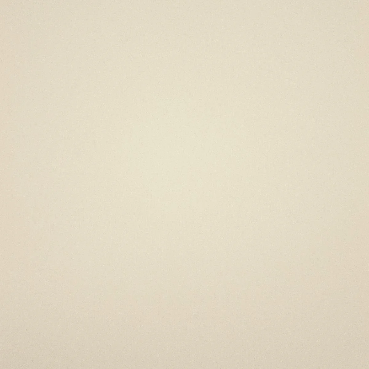 Bone surface sample