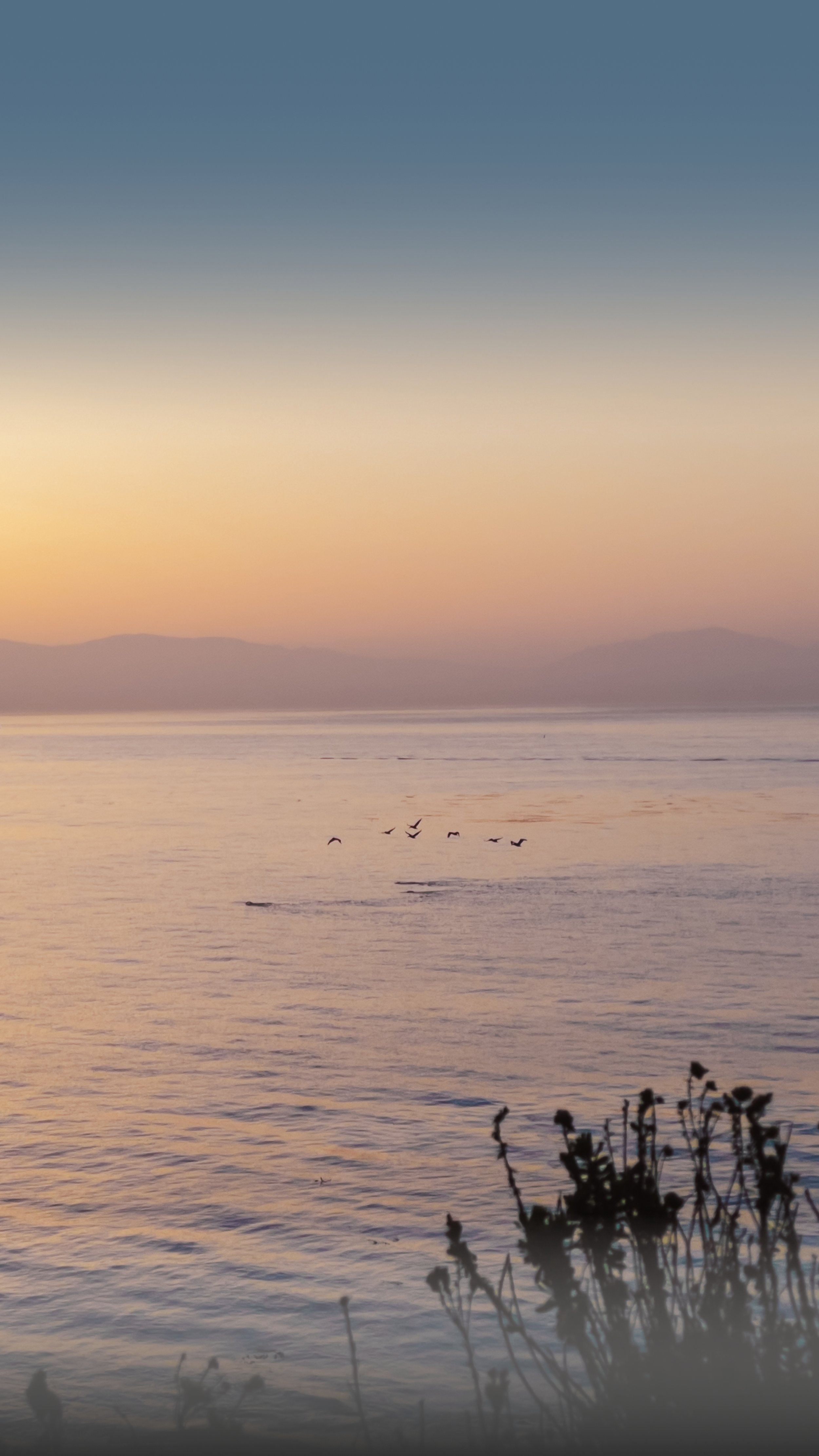 Santa Barbara