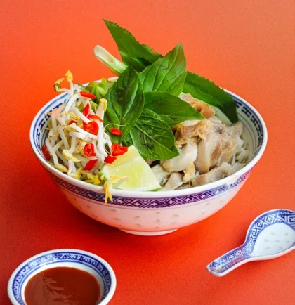 Chicken pho